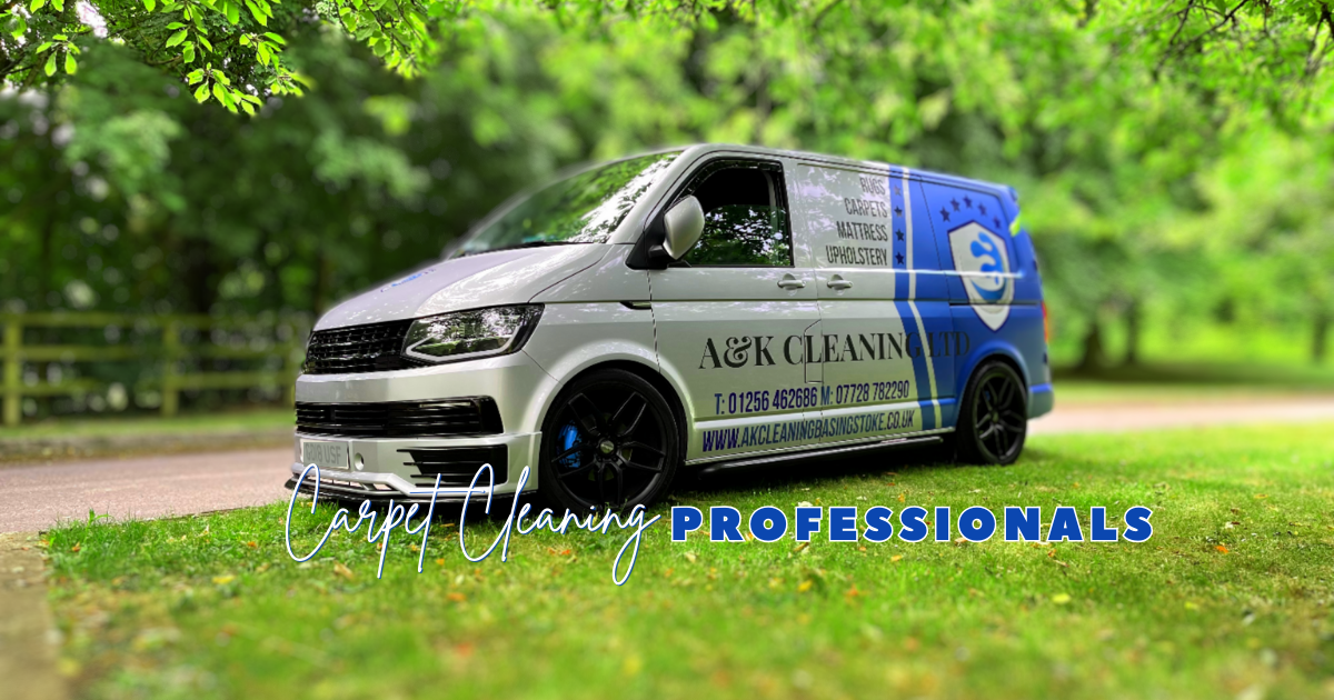 TopRated Carpet Cleaning Services In Basingstoke