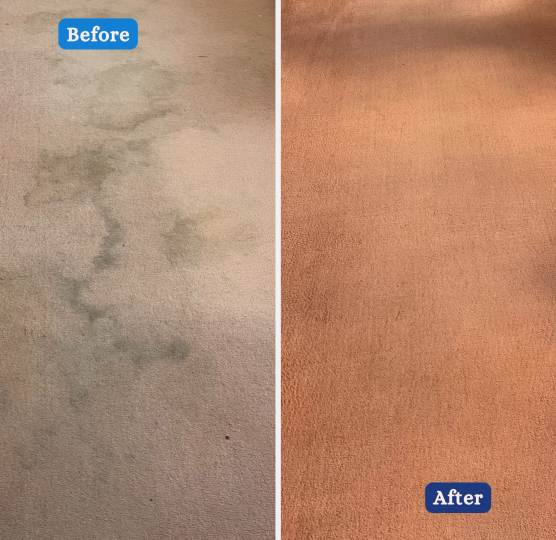 carpet cleaning service in Basingstoke